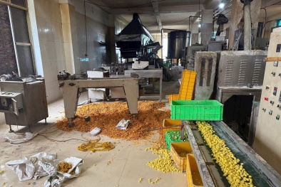 Hà Nội: Phát hiện xác động vật bốc mùi tại cơ sở sản xuất bim bim