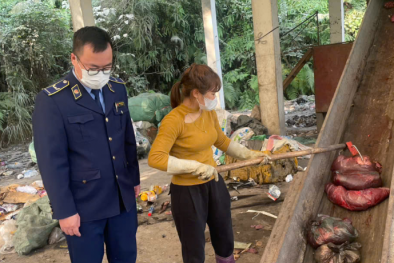 Phú Thọ phát hiện và ngăn chặn nội tạng động vật không đảm bảo an toàn khi lưu thông