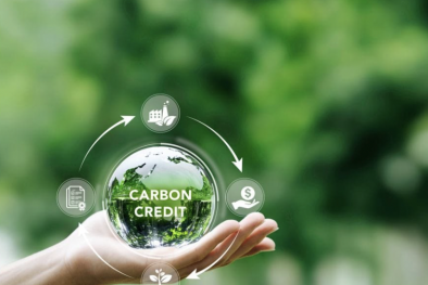 Tập trung chuẩn bị các điều kiện cần thiết tổ chức vận hành thị trường carbon trong nước