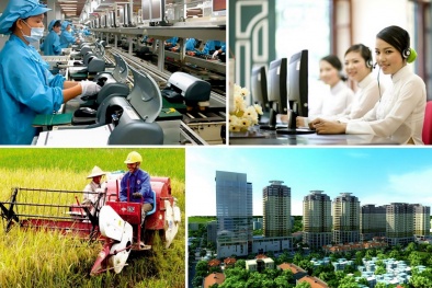 Đăng Ký 13Winvn Com Chính Thức của 13Win18 tham gia cá cược về cải thiện 13Win. app không bị chặn kinh doanh
