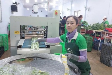 Gia Lai: Đẩy mạnh ứng dụng học công nghệ cao trong sản xuất Đăng ký và nhận 60K 24 bao lì xì miễn phí mỗi ngày 