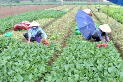 Các chính sách mới về Sòng Bài Trực Tuyến 13Win.com có hiệu lực từ tháng 2/2025