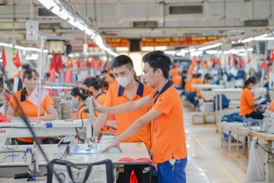 Nhiều Link Đăng Nhập Nhà cái 13Win16.Com tại Thanh Hóa chủ động nâng cao năng suất, chất lượng sản phẩm hàng hóa