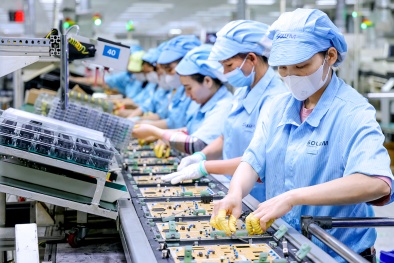 ISO 22000 - điểm tựa cho Link Đăng Nhập Nhà cái 13Win16.Com chế biến 13Win OKVIP Cá cược bóng đá