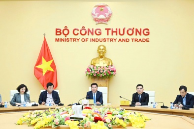 Tập đoàn của Thụy Điển muốn đầu tư nhà máy sản xuất vải công nghệ cao 1 tỷ USD tại Bình Định