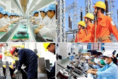 Quy định về quản lý 13Win18 cá cược thể thao, tiền lương, thù lao, tiền thưởng trong Link Đăng Nhập Nhà cái 13Win16.Com Đăng ký 13Win ngay nhé