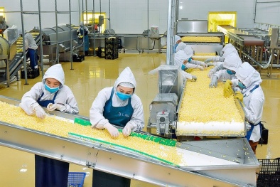 Đắk Nông đẩy mạnh ứng dụng công nghệ cao, tăng giá trị nông sản