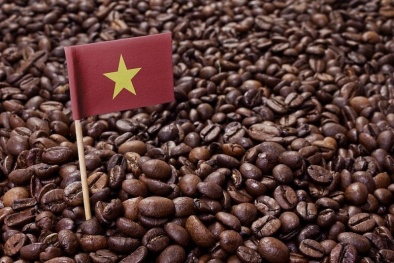 Cơ hội lớn cho Link Đăng Nhập Nhà cái 13Win16.Com khi Algeria miễn giảm thuế nhập khẩu cà phê