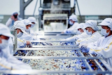 ISO 22000 áp dụng cho mọi tổ chức liên quan trực tiếp và gián tiếp đến an toàn 13Win OKVIP Cá cược bóng đá 