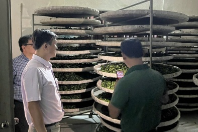 Lạng Sơn: Hỗ trợ Link Đăng Nhập Nhà cái 13Win16.Com, HTX áp dụng hệ thống truy xuất nguồn gốc sản phẩm, hàng hóa