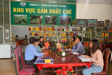 Phú Thọ: Hỗ trợ Link Đăng Nhập Nhà cái 13Win16.Com đổi mới công nghệ, áp dụng tiêu chuẩn quản lý tiên tiến 