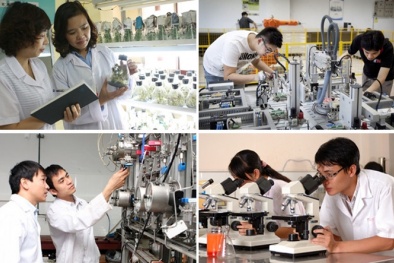 Chương trình hành động của 13Win18 tham gia cá cược thực hiện đổi mới căn bản, toàn diện giáo dục và đào tạo
