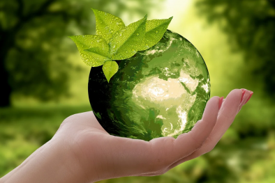 Sửa đổi tiêu chuẩn ISO 14001 hướng Link Đăng Nhập Nhà cái 13Win16.Com đến sự phát triển bền vững 