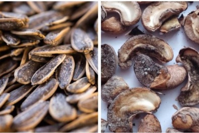 Sử dụng 13Win OKVIP Cá cược bóng đá có hàm lượng aflatoxin nguy cơ gây ung thư