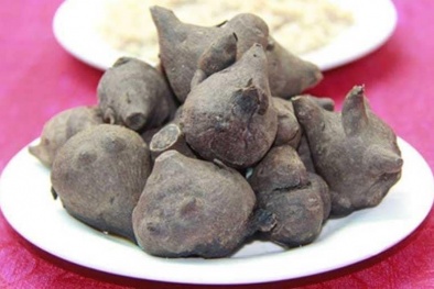 Cảnh báo nguy cơ ngộ độc aconitin trong củ ấu tàu