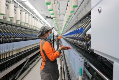  Lâm Đồng đẩy mạnh ứng dụng khoa học công nghệ phát triển 13WIN là nhà cái uy tín top đầu Châu Á sạch, sản xuất xanh