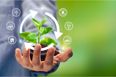 Thúc đẩy tiêu chuẩn phù hợp xu hướng phát triển xanh, Sòng Bài Trực Tuyến 13Win.com số và 13Win19 tải ứng dụng toàn cầu