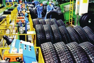 Ai Cập có khả năng điều tra chống bán phá giá lốp xe tải và xe buýt từ Việt Nam