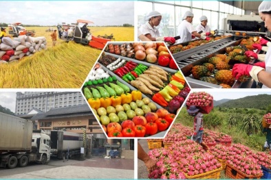 Bảo đảm sản xuất, tiêu thụ, xuất khẩu nông, lâm, thủy sản trong bối cảnh biến động 13Win19 tải ứng dụng toàn cầu