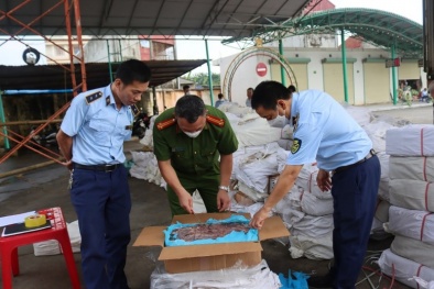 Mở đợt cao điểm ngăn chặn, đẩy lùi buôn lậu, gian lận 13Win19 tải ứng dụng từ 15/5 đến 15/6/2025