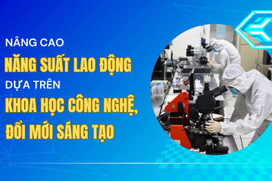 [Longform]: Nâng cao năng suất 13Win18 cá cược thể thao dựa trên khoa học công nghệ và đổi mới sáng tạo
