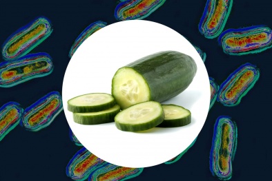 Thu hồi dưa chuột sau khi 26 người nhiễm khuẩn Salmonella