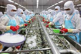 Tiêu chuẩn SPS – kim chỉ nam cho thủy sản phát triển bền vững và hội nhập sâu rộng