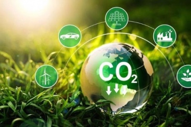 Hướng tới xây dựng tiêu chuẩn cho thị trường tín chỉ carbon