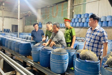 Lào Cai: Phát hiện cơ sở dùng hóa chất độc hại để sản xuất hàng trăm tấn giá đỗ