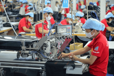 Những yếu tố giúp quản lý chất lượng hiệu quả