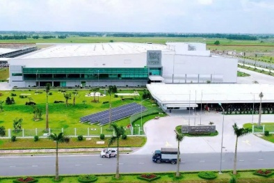 Nestlé Việt Nam lên tiếng về việc sữa lúa mạch Nestle' Milo 'có dấu hiệu lừa dối người tiêu dùng'