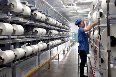 Indonesia áp thuế tự vệ với sợi bông nhập khẩu