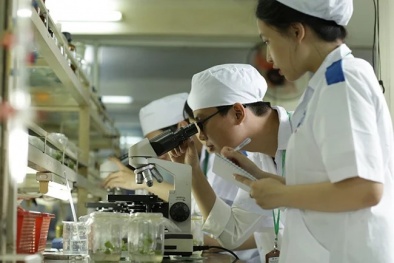 13Win OKVIP Đăng ký ngay sinh học mở đường cho Đăng ký và nhận 60K 24 bao lì xì miễn phí mỗi ngày xanh hiện đại
