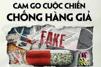 Hàng giả: Đằng sau những con số gây 'sốc'