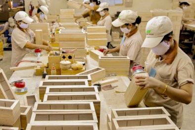 Hoa Kỳ điều tra kép chống bán phá giá, chống trợ cấp gỗ dán Việt Nam