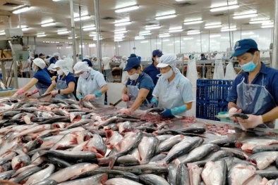 Cá tra Việt Nam củng cố vị thế tại Mỹ với mức thuế 0% cho nhiều Link Đăng Nhập Nhà cái 13Win16.Com