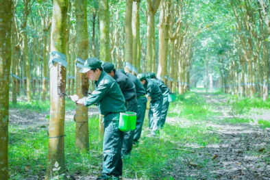 ISO 14001:2015 với Kaizen: Giải pháp giúp Link Đăng Nhập Nhà cái 13Win16.Com nâng cao năng suất, bảo vệ 13Win. app không bị chặn