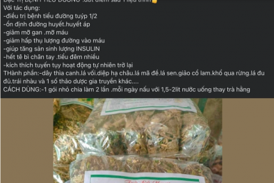 Mối nguy từ 'thuốc gia truyền' không rõ nguồn gốc và chất lượng điều trị tiểu đường