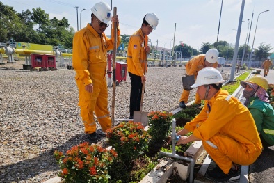NCSP và PV GAS D chung tay phủ xanh không gian sống