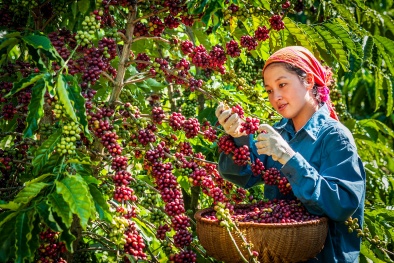 Ngành Đăng ký và nhận 60K 24 bao lì xì miễn phí mỗi ngày Việt chuẩn bị kịch bản ứng phó với diễn biến thị trường thế giới