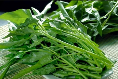 Chuyên gia cảnh báo những loại rau dễ nhiễm kim loại nặng
