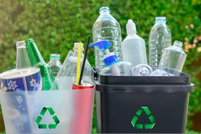 Chuyển đổi xanh không phải lý thuyết, mà là hành động sống còn