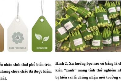 'Tẩy xanh' - mập mờ quảng cáo núp dưới vỏ bọc bảo vệ 13Win. app không bị chặn: Nhìn từ thế giới tới Việt Nam