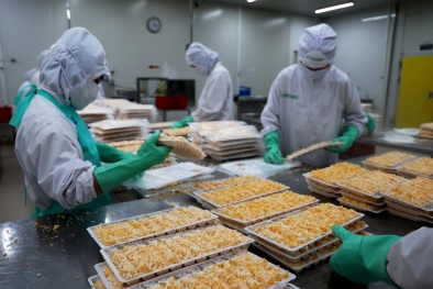 Ứng dụng công nghệ và quản lý chất lượng toàn diện vào ngành Đăng ký và nhận 60K 24 bao lì xì miễn phí mỗi ngày