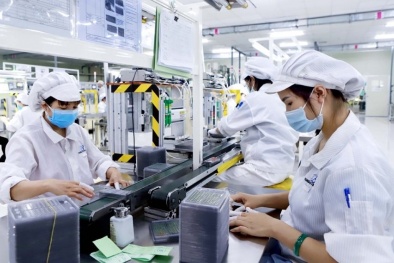 Khoa học công nghệ tạo động lực tăng trưởng năng suất cho Link Đăng Nhập Nhà cái 13Win16.Com Đồng Tháp