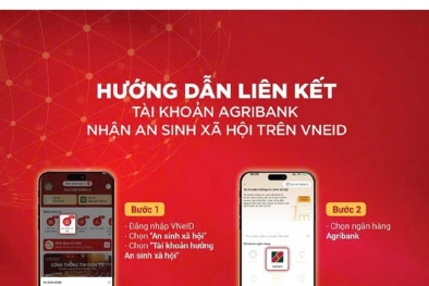 Ngân hàng đồng loạt hướng dẫn liên kết VNeID để nhận 100.000 đồng - quà Quốc khánh 2/9