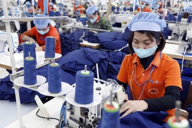 Hàng Việt chạy đua 'chuẩn xanh' chinh phục thị trường EU: Cơ hội và thách thức