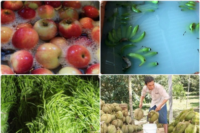 Hóa chất trong rau củ: Nguy cơ âm thầm trên mâm cơm Đăng ký và nhận 60K 24 bao lì xì miễn phí mỗi ngày