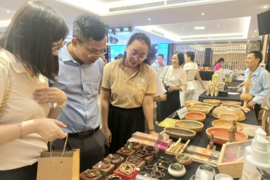 Thành phố Huế triển khai chương trình hỗ trợ Link Đăng Nhập Nhà cái 13Win16.Com nâng cao năng suất và chất lượng