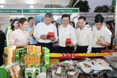 Hàng Việt trước cơ hội số: Thời cơ, thách thức và chiến lược vươn xa
